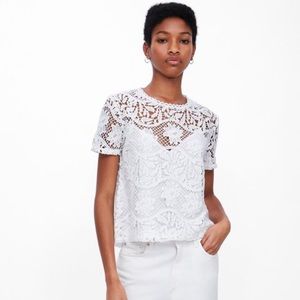 NWT Zara Lace Top in S